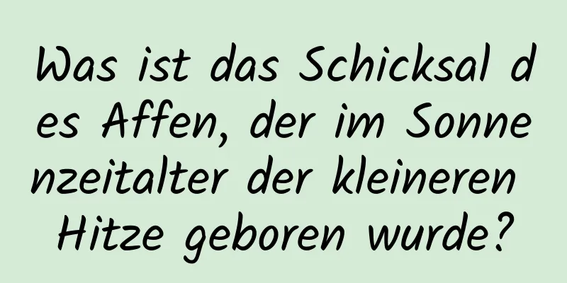 Was ist das Schicksal des Affen, der im Sonnenzeitalter der kleineren Hitze geboren wurde?