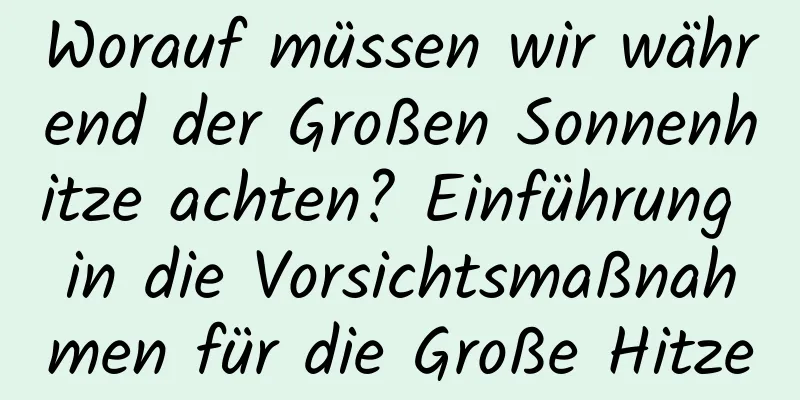 Worauf müssen wir während der Großen Sonnenhitze achten? Einführung in die Vorsichtsmaßnahmen für die Große Hitze