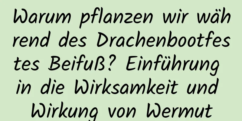 Warum pflanzen wir während des Drachenbootfestes Beifuß? Einführung in die Wirksamkeit und Wirkung von Wermut