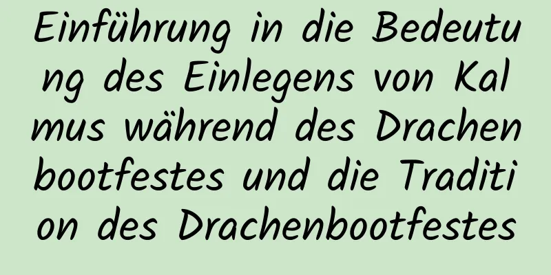 Einführung in die Bedeutung des Einlegens von Kalmus während des Drachenbootfestes und die Tradition des Drachenbootfestes