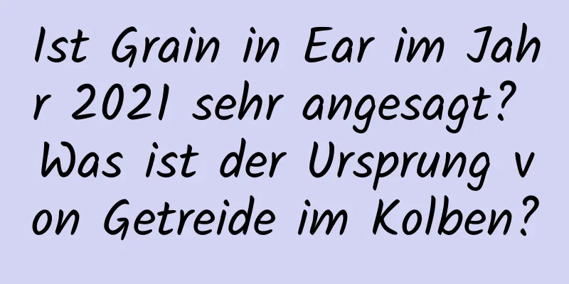 Ist Grain in Ear im Jahr 2021 sehr angesagt? Was ist der Ursprung von Getreide im Kolben?