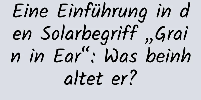 Eine Einführung in den Solarbegriff „Grain in Ear“: Was beinhaltet er?