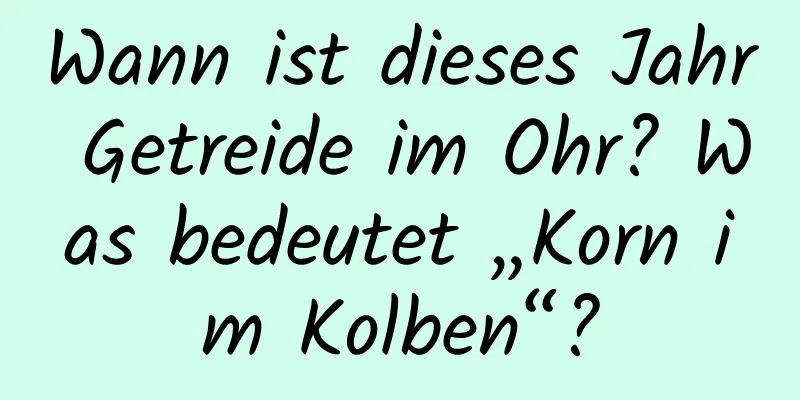 Wann ist dieses Jahr Getreide im Ohr? Was bedeutet „Korn im Kolben“?