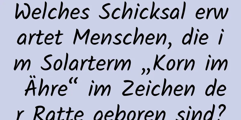 Welches Schicksal erwartet Menschen, die im Solarterm „Korn im Ähre“ im Zeichen der Ratte geboren sind?