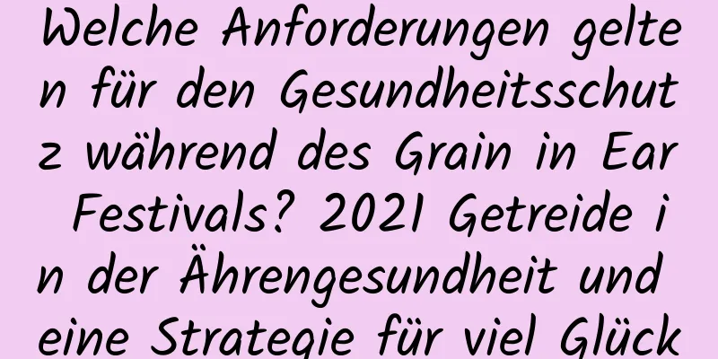 Welche Anforderungen gelten für den Gesundheitsschutz während des Grain in Ear Festivals? 2021 Getreide in der Ährengesundheit und eine Strategie für viel Glück