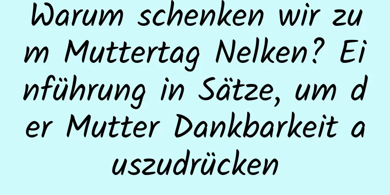 Warum schenken wir zum Muttertag Nelken? Einführung in Sätze, um der Mutter Dankbarkeit auszudrücken