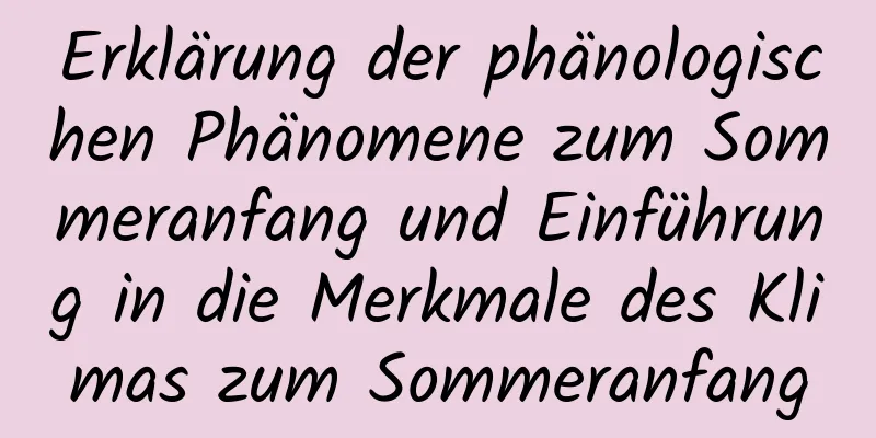 Erklärung der phänologischen Phänomene zum Sommeranfang und Einführung in die Merkmale des Klimas zum Sommeranfang