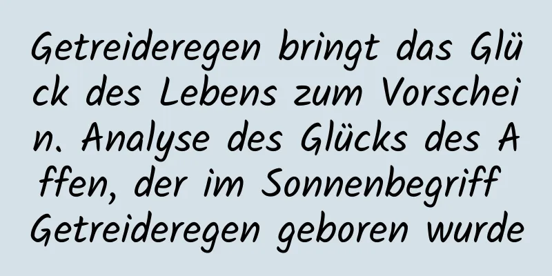 Getreideregen bringt das Glück des Lebens zum Vorschein. Analyse des Glücks des Affen, der im Sonnenbegriff Getreideregen geboren wurde