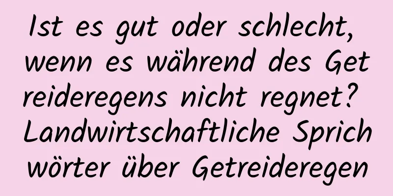 Ist es gut oder schlecht, wenn es während des Getreideregens nicht regnet? Landwirtschaftliche Sprichwörter über Getreideregen