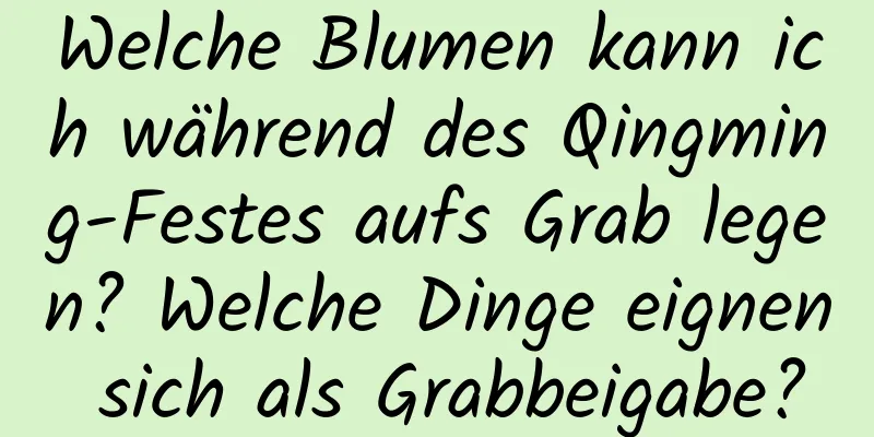 Welche Blumen kann ich während des Qingming-Festes aufs Grab legen? Welche Dinge eignen sich als Grabbeigabe?