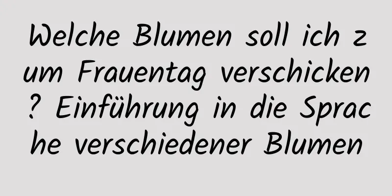 Welche Blumen soll ich zum Frauentag verschicken? Einführung in die Sprache verschiedener Blumen