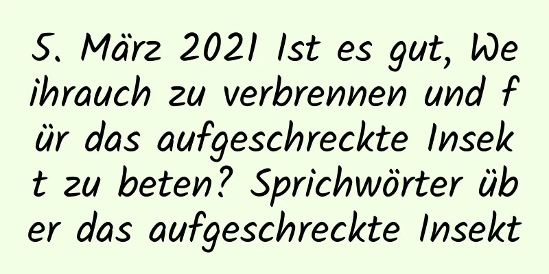 5. März 2021 Ist es gut, Weihrauch zu verbrennen und für das aufgeschreckte Insekt zu beten? Sprichwörter über das aufgeschreckte Insekt