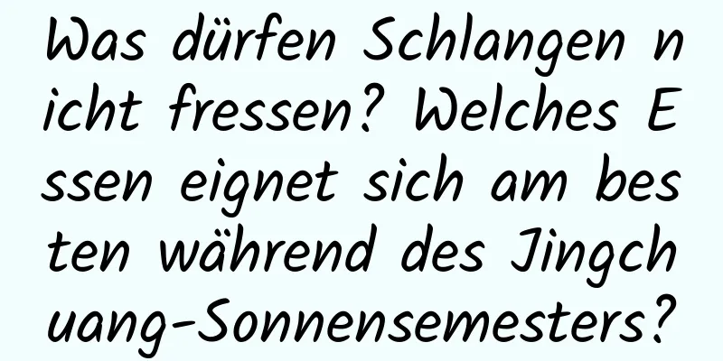 Was dürfen Schlangen nicht fressen? Welches Essen eignet sich am besten während des Jingchuang-Sonnensemesters?