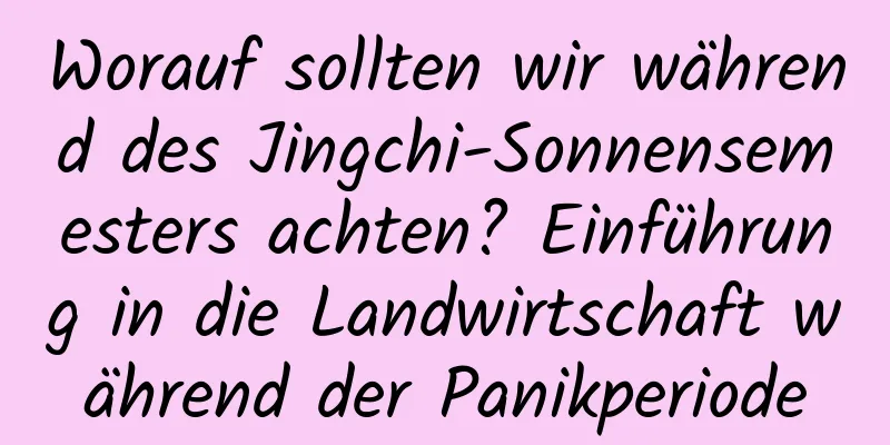 Worauf sollten wir während des Jingchi-Sonnensemesters achten? Einführung in die Landwirtschaft während der Panikperiode