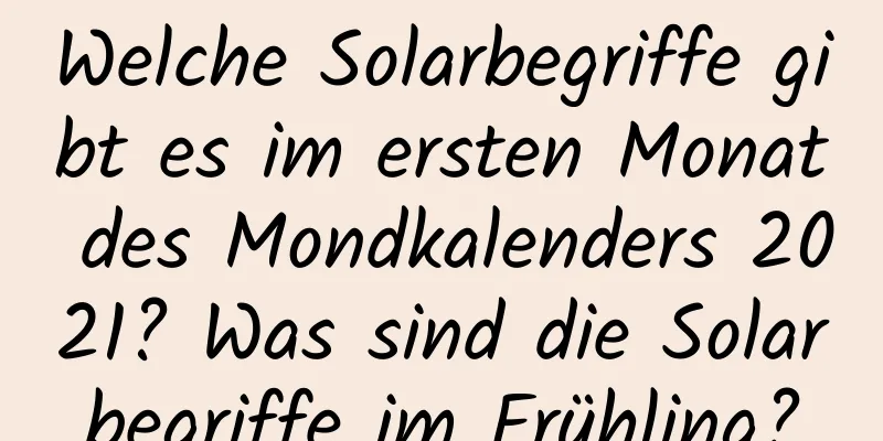 Welche Solarbegriffe gibt es im ersten Monat des Mondkalenders 2021? Was sind die Solarbegriffe im Frühling?