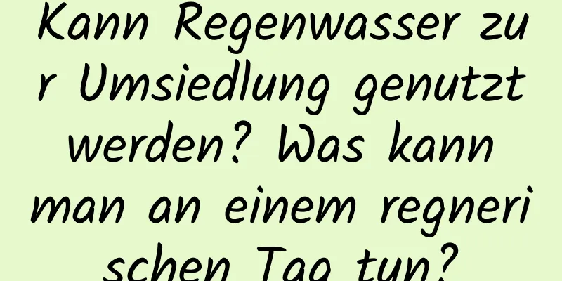 Kann Regenwasser zur Umsiedlung genutzt werden? Was kann man an einem regnerischen Tag tun?