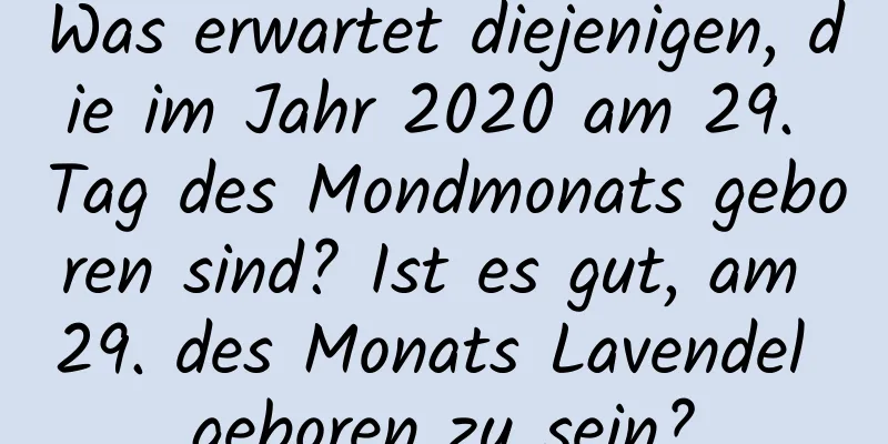 Was erwartet diejenigen, die im Jahr 2020 am 29. Tag des Mondmonats geboren sind? Ist es gut, am 29. des Monats Lavendel geboren zu sein?