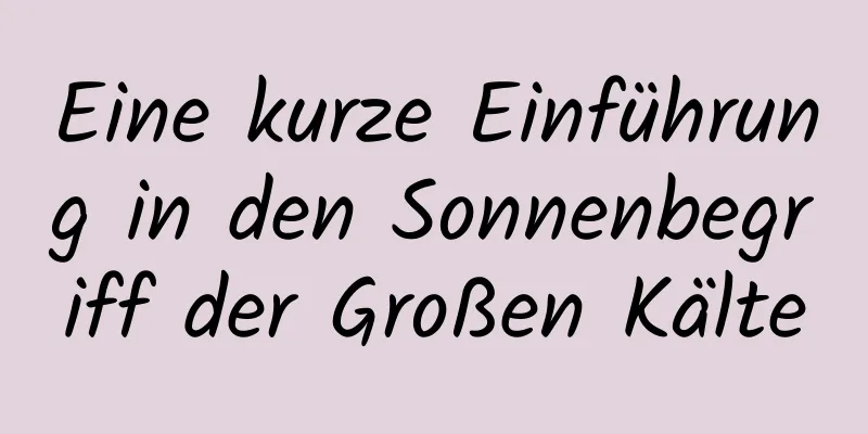 Eine kurze Einführung in den Sonnenbegriff der Großen Kälte