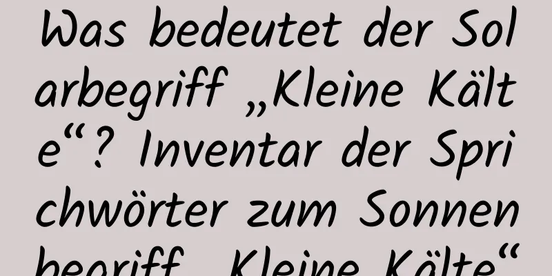 Was bedeutet der Solarbegriff „Kleine Kälte“? Inventar der Sprichwörter zum Sonnenbegriff „Kleine Kälte“