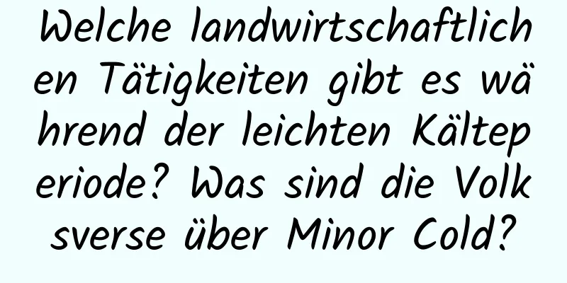 Welche landwirtschaftlichen Tätigkeiten gibt es während der leichten Kälteperiode? Was sind die Volksverse über Minor Cold?