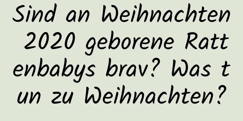 Sind an Weihnachten 2020 geborene Rattenbabys brav? Was tun zu Weihnachten?