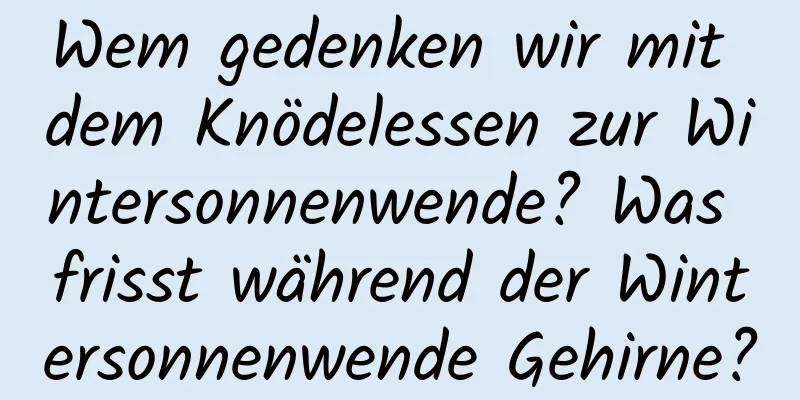 Wem gedenken wir mit dem Knödelessen zur Wintersonnenwende? Was frisst während der Wintersonnenwende Gehirne?