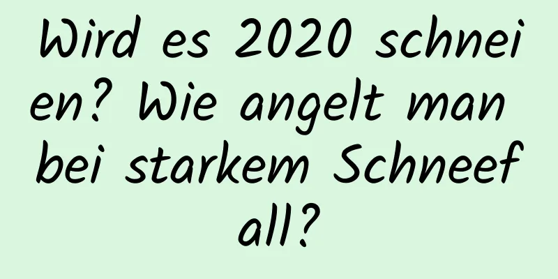 Wird es 2020 schneien? Wie angelt man bei starkem Schneefall?