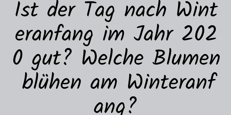 Ist der Tag nach Winteranfang im Jahr 2020 gut? Welche Blumen blühen am Winteranfang?