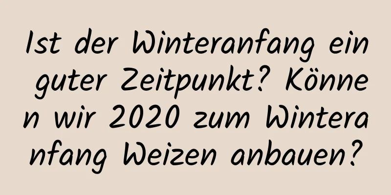 Ist der Winteranfang ein guter Zeitpunkt? Können wir 2020 zum Winteranfang Weizen anbauen?