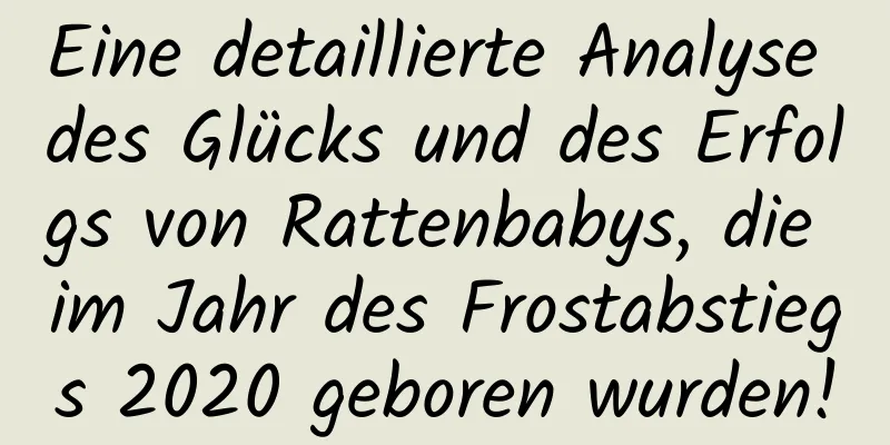 Eine detaillierte Analyse des Glücks und des Erfolgs von Rattenbabys, die im Jahr des Frostabstiegs 2020 geboren wurden!