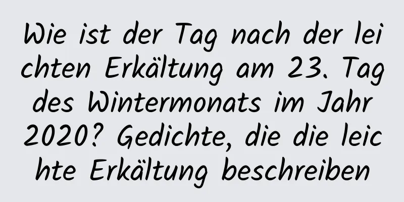 Wie ist der Tag nach der leichten Erkältung am 23. Tag des Wintermonats im Jahr 2020? Gedichte, die die leichte Erkältung beschreiben