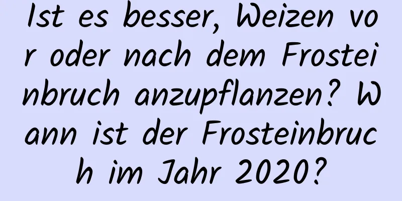 Ist es besser, Weizen vor oder nach dem Frosteinbruch anzupflanzen? Wann ist der Frosteinbruch im Jahr 2020?