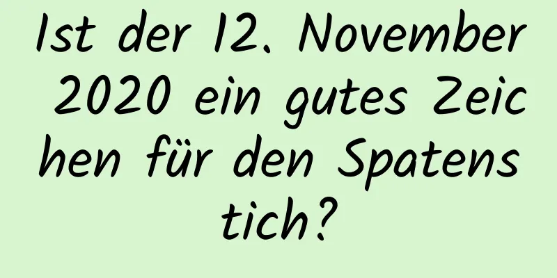 Ist der 12. November 2020 ein gutes Zeichen für den Spatenstich?