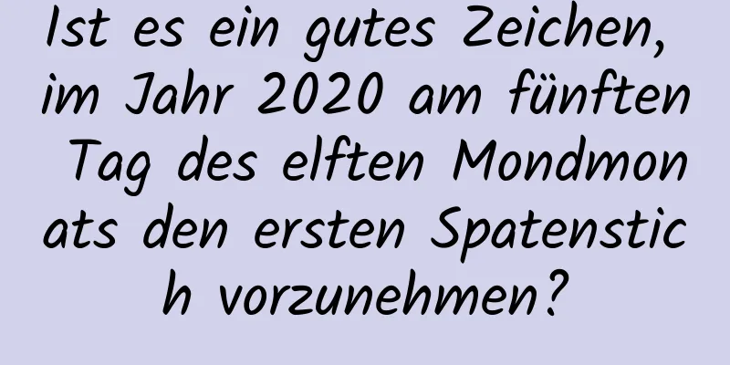 Ist es ein gutes Zeichen, im Jahr 2020 am fünften Tag des elften Mondmonats den ersten Spatenstich vorzunehmen?