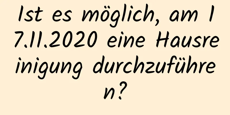 Ist es möglich, am 17.11.2020 eine Hausreinigung durchzuführen?