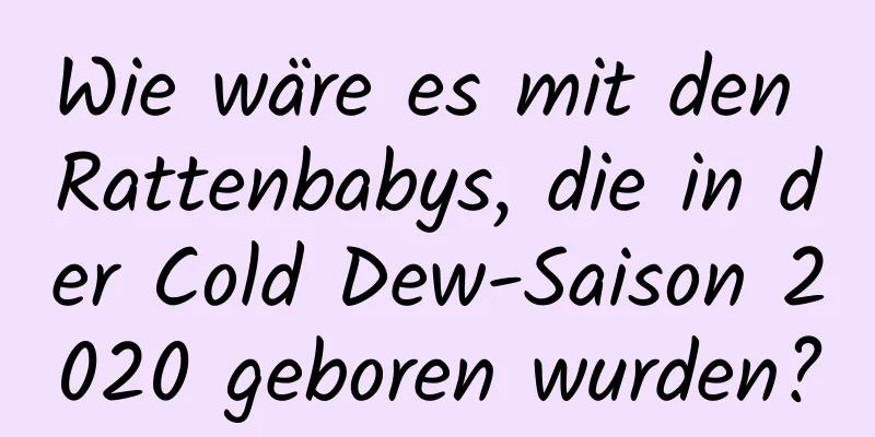 Wie wäre es mit den Rattenbabys, die in der Cold Dew-Saison 2020 geboren wurden?