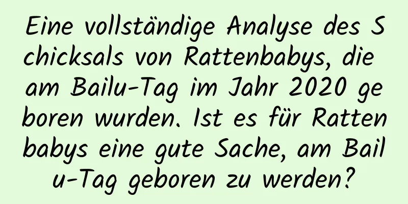 Eine vollständige Analyse des Schicksals von Rattenbabys, die am Bailu-Tag im Jahr 2020 geboren wurden. Ist es für Rattenbabys eine gute Sache, am Bailu-Tag geboren zu werden?