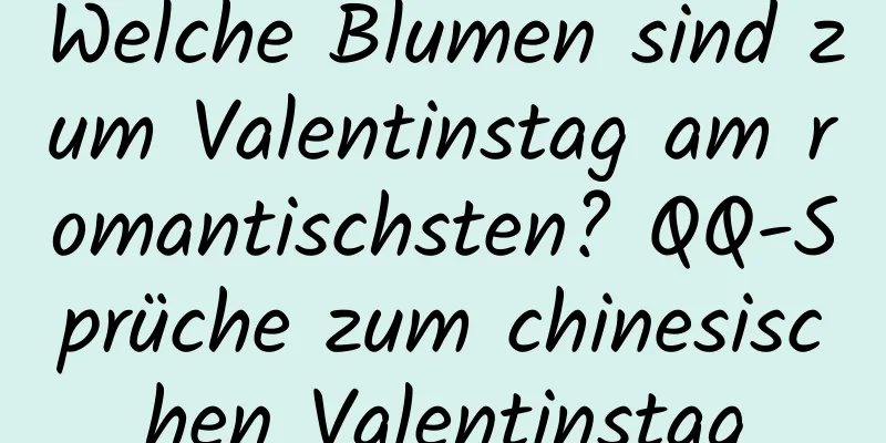 Welche Blumen sind zum Valentinstag am romantischsten? QQ-Sprüche zum chinesischen Valentinstag