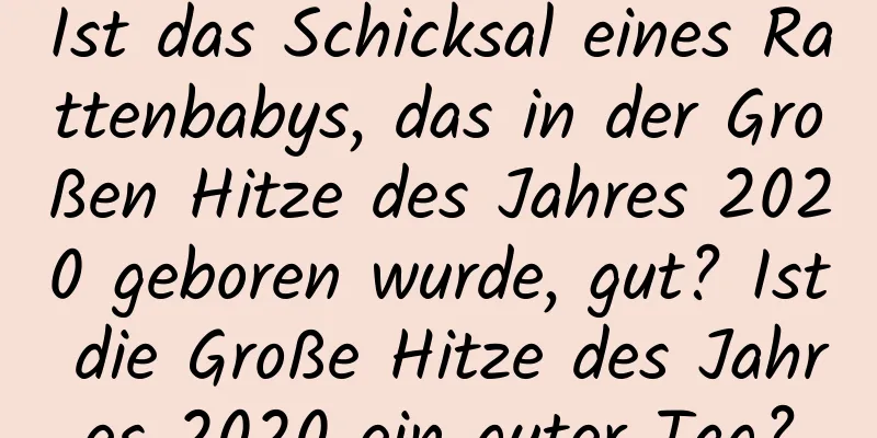 Ist das Schicksal eines Rattenbabys, das in der Großen Hitze des Jahres 2020 geboren wurde, gut? Ist die Große Hitze des Jahres 2020 ein guter Tag?