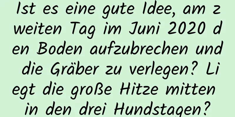 Ist es eine gute Idee, am zweiten Tag im Juni 2020 den Boden aufzubrechen und die Gräber zu verlegen? Liegt die große Hitze mitten in den drei Hundstagen?