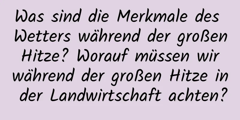 Was sind die Merkmale des Wetters während der großen Hitze? Worauf müssen wir während der großen Hitze in der Landwirtschaft achten?