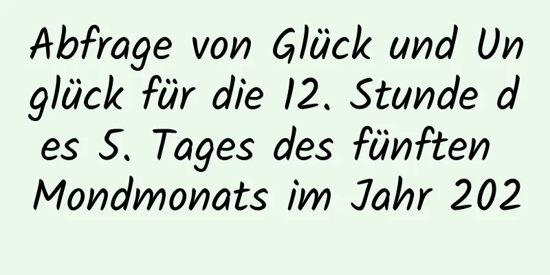 Abfrage von Glück und Unglück für die 12. Stunde des 5. Tages des fünften Mondmonats im Jahr 2020