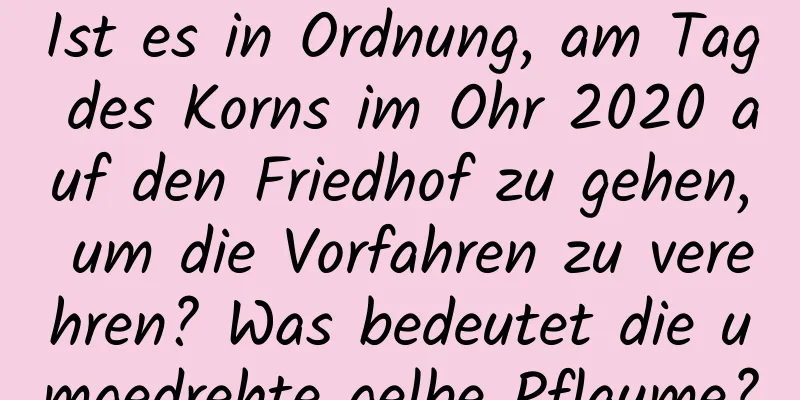 Ist es in Ordnung, am Tag des Korns im Ohr 2020 auf den Friedhof zu gehen, um die Vorfahren zu verehren? Was bedeutet die umgedrehte gelbe Pflaume?