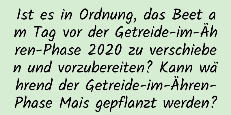 Ist es in Ordnung, das Beet am Tag vor der Getreide-im-Ähren-Phase 2020 zu verschieben und vorzubereiten? Kann während der Getreide-im-Ähren-Phase Mais gepflanzt werden?