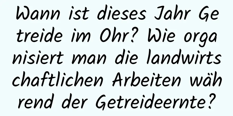 Wann ist dieses Jahr Getreide im Ohr? Wie organisiert man die landwirtschaftlichen Arbeiten während der Getreideernte?