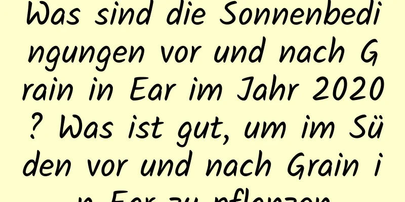 Was sind die Sonnenbedingungen vor und nach Grain in Ear im Jahr 2020? Was ist gut, um im Süden vor und nach Grain in Ear zu pflanzen