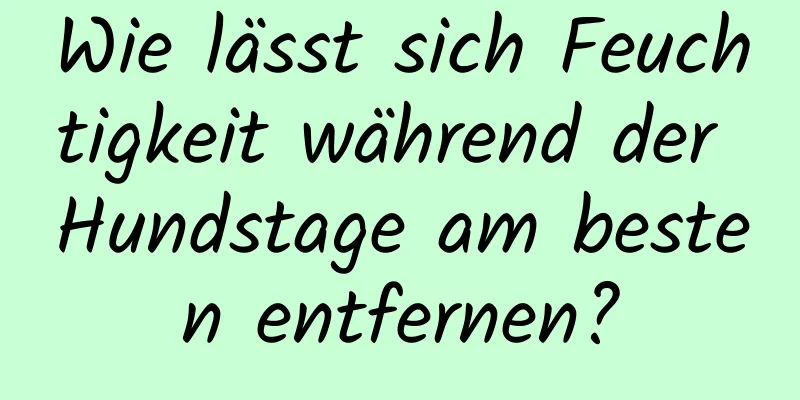 Wie lässt sich Feuchtigkeit während der Hundstage am besten entfernen?