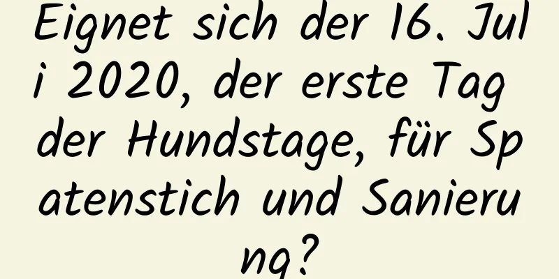 Eignet sich der 16. Juli 2020, der erste Tag der Hundstage, für Spatenstich und Sanierung?