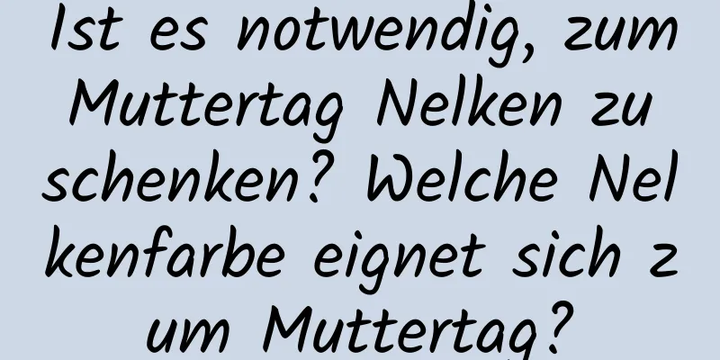 Ist es notwendig, zum Muttertag Nelken zu schenken? Welche Nelkenfarbe eignet sich zum Muttertag?