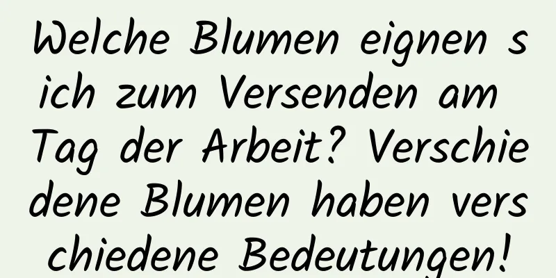 Welche Blumen eignen sich zum Versenden am Tag der Arbeit? Verschiedene Blumen haben verschiedene Bedeutungen!